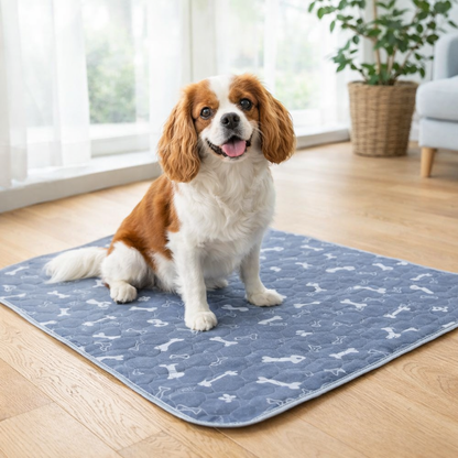 PawPure™ - Le tapis absorbant lavable pour chien (80 × 90 cm)