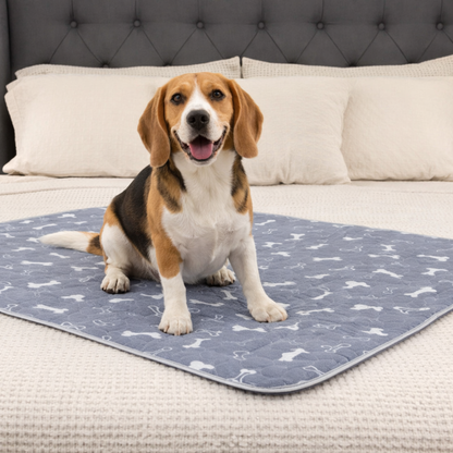 PawPure™ - Le tapis absorbant lavable pour chien (80 × 90 cm)